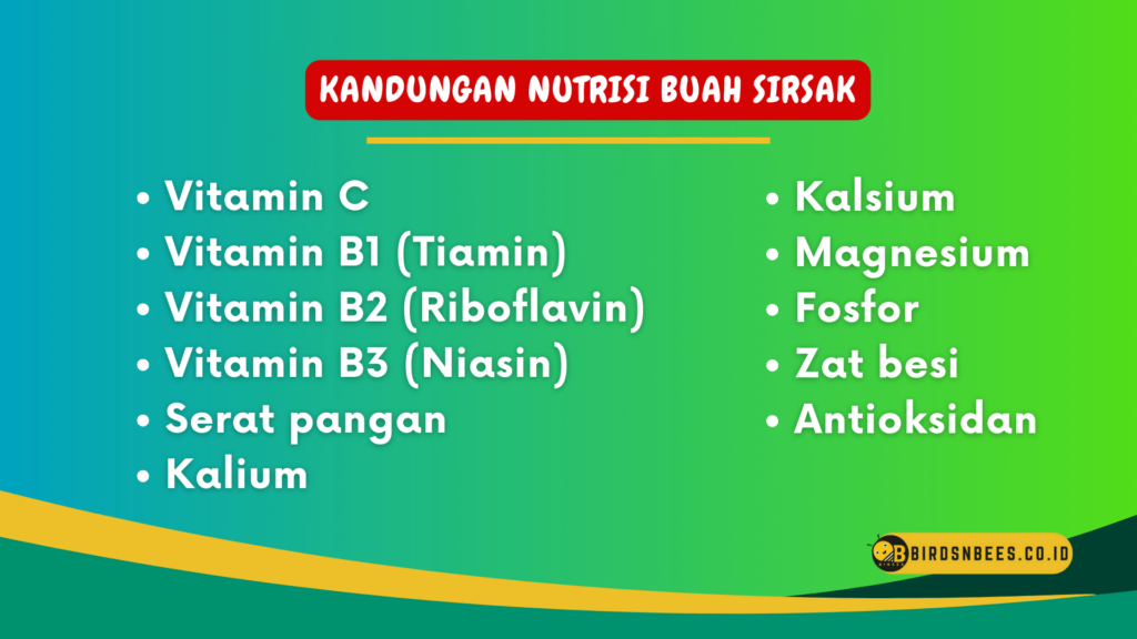 Kandungan Nutrisi Buah Sirsak