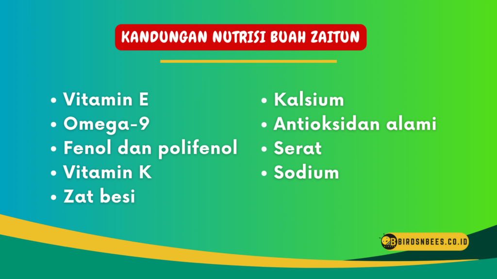 Kandungan Nutrisi Buah Zaitun