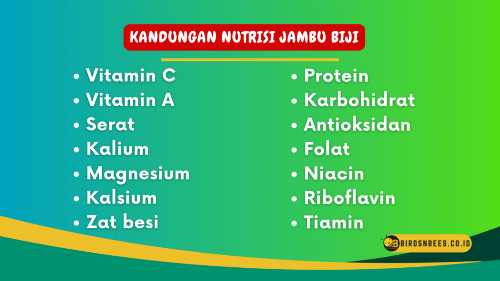 Kandungan Nutrisi Jambu Biji