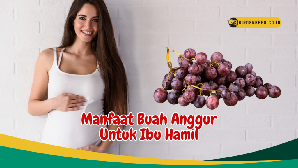 Manfaat Buah Anggur Untuk Ibu Hamil