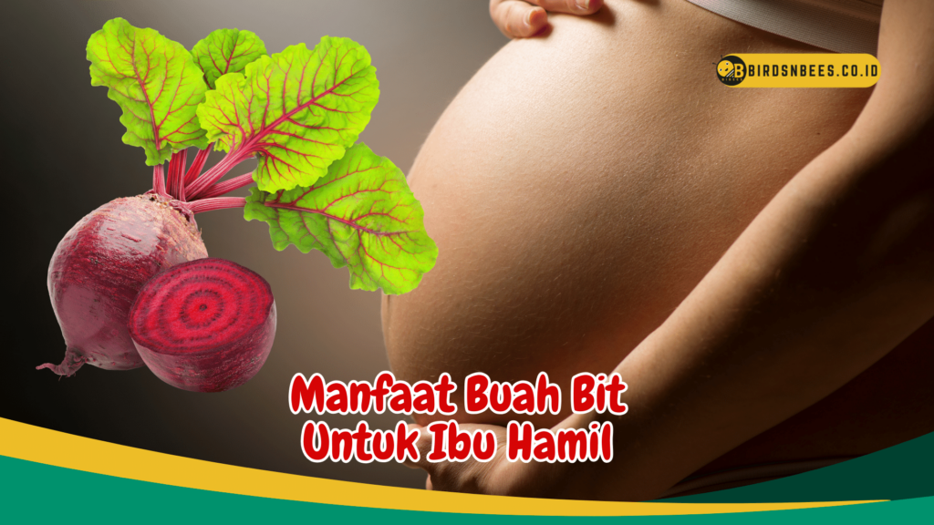 Manfaat Buah Bit Untuk Ibu Hamil