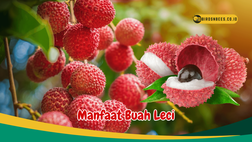 Manfaat Buah Leci