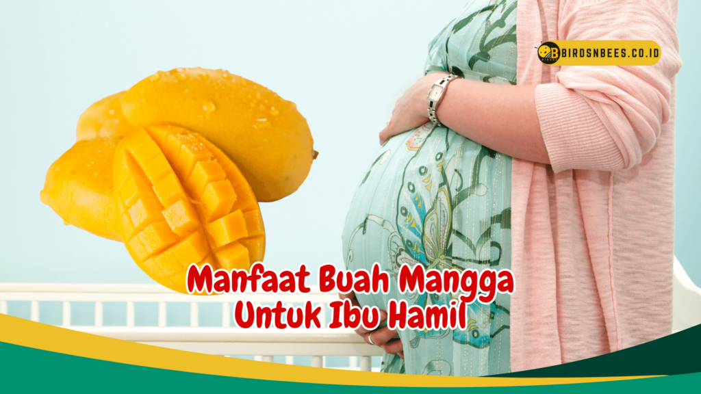 Manfaat Buah Mangga Untuk Ibu Hamil