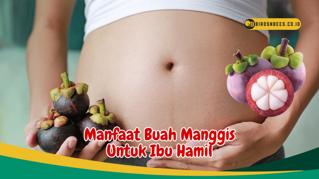 Manfaat Buah Manggis Untuk Ibu Hamil