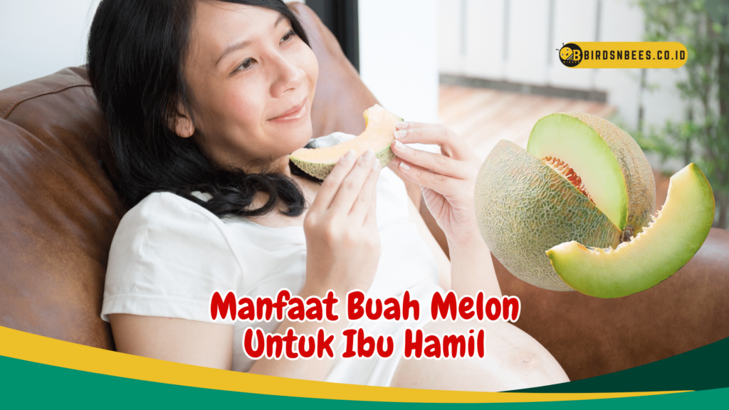 Manfaat Buah Melon Untuk Ibu Hamil