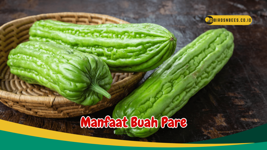 Manfaat Buah Pare