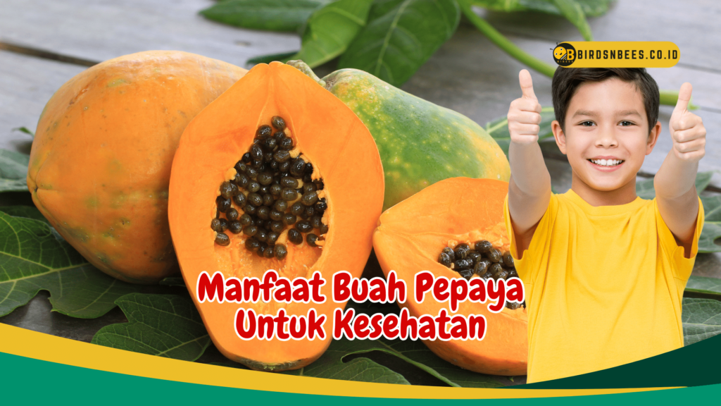 Manfaat Buah Pepaya Untuk Kesehatan