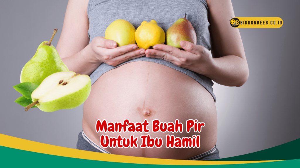 Manfaat Buah Pir Untuk Ibu Hamil