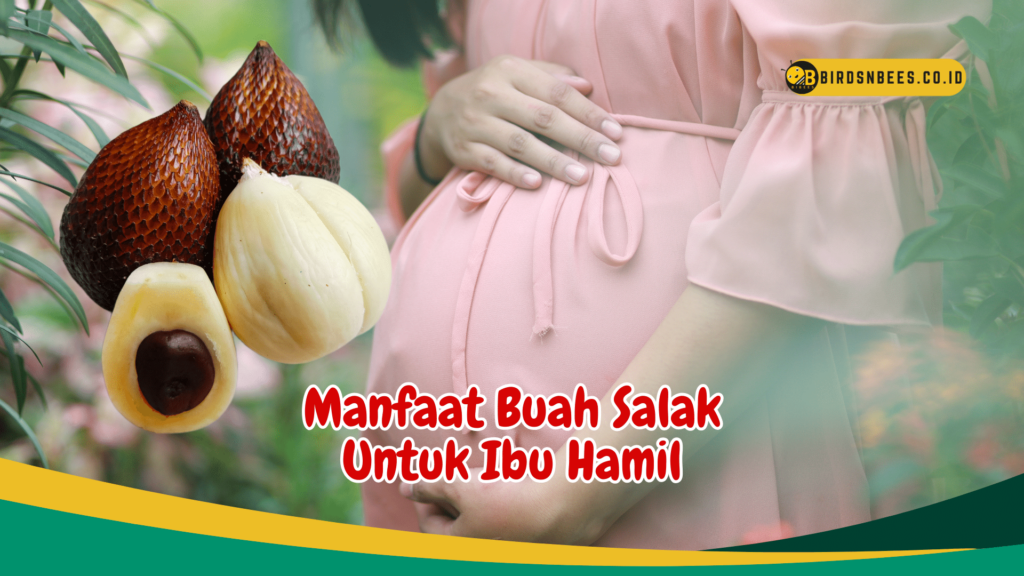 Manfaat Buah Salak Untuk Ibu Hamil