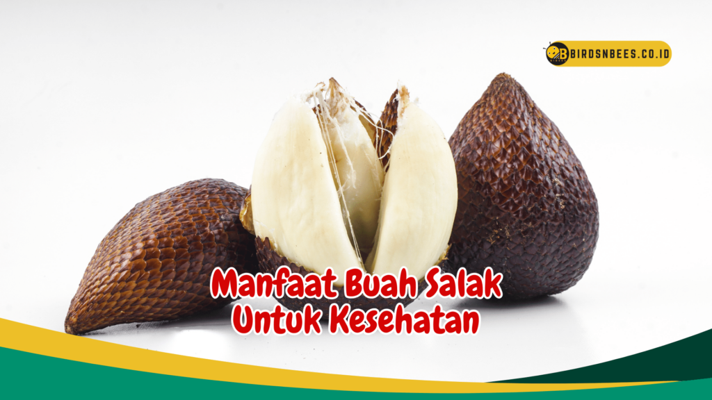 Manfaat Buah Salak Untuk Kesehatan