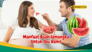 Buah Semangka