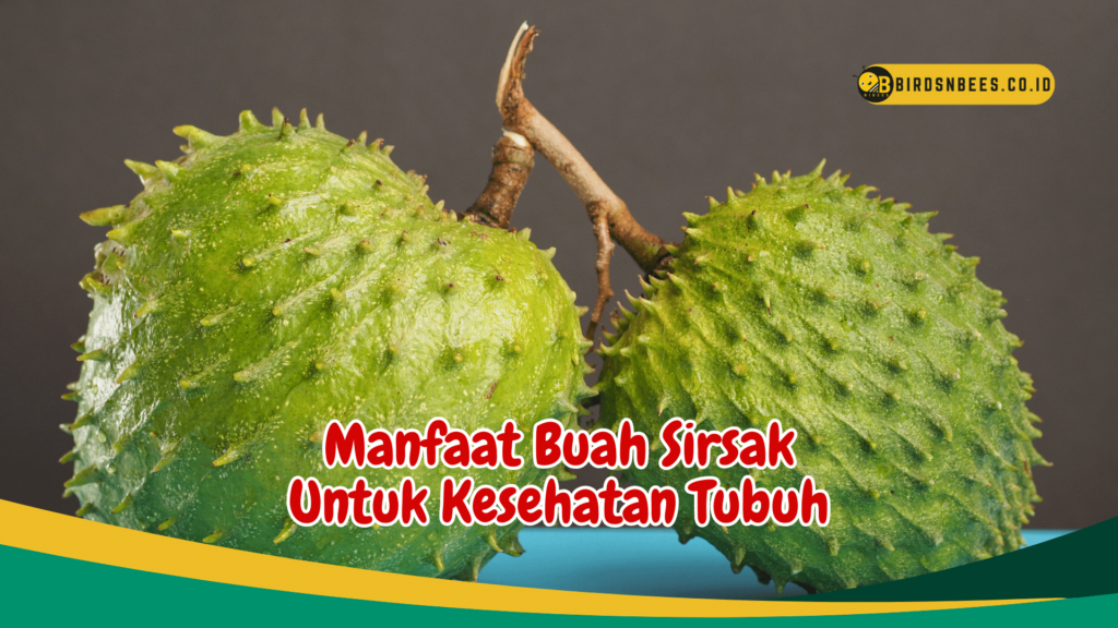 Manfaat Buah Sirsak Untuk Kesehatan Tubuh