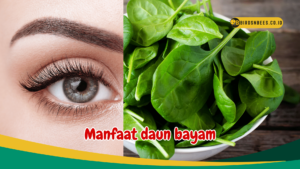 Manfaat daun bayam