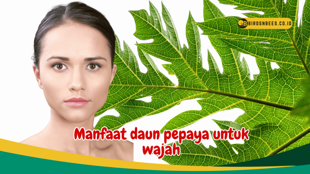 Manfaat daun pepaya untuk wajah