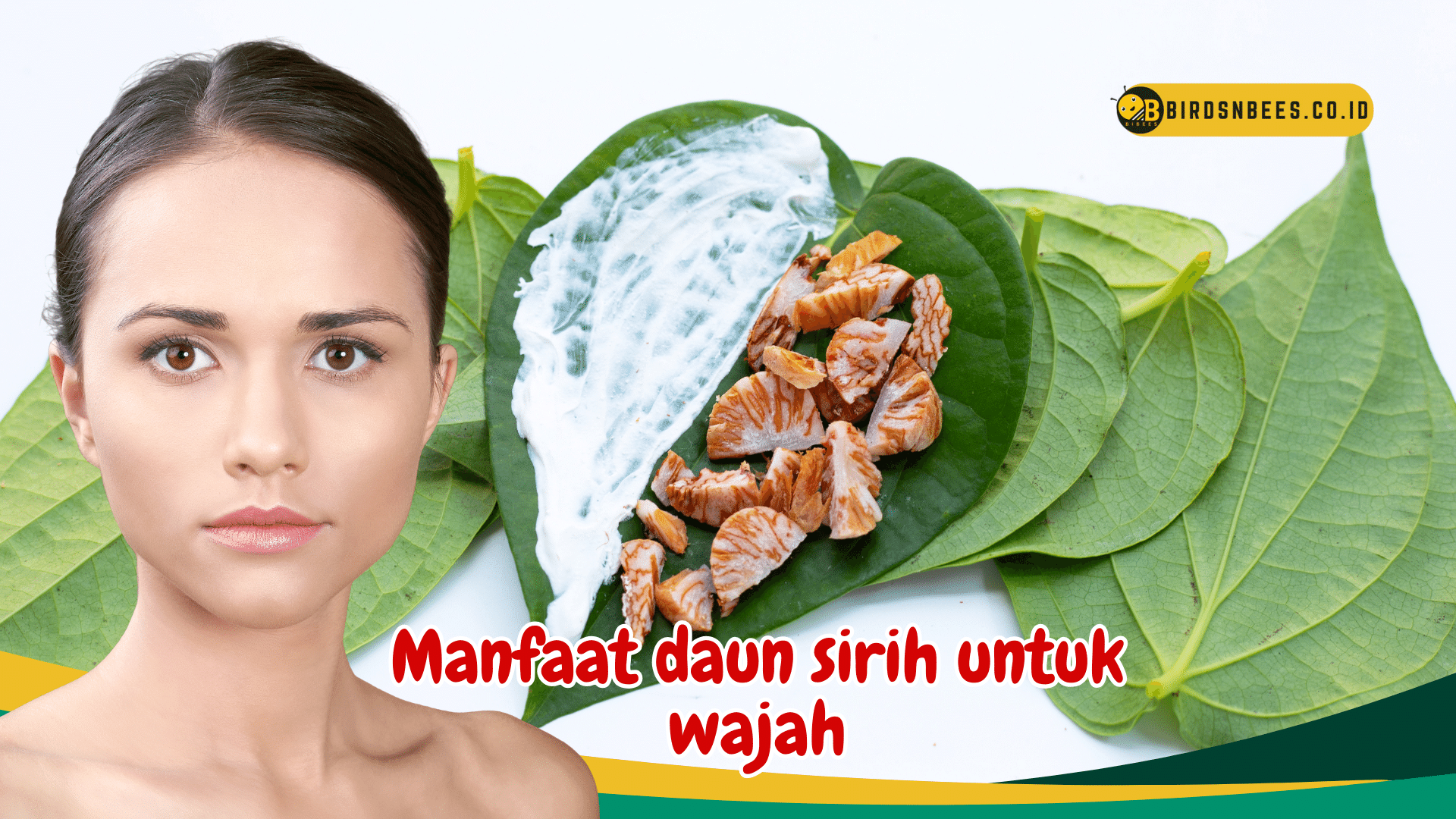 Manfaat Daun Sirih Untuk Wajah Dan Cara Menciptakan Masker Daun Sirih