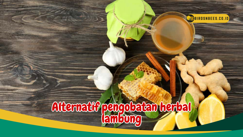 Alternatif pengobatan herbal lambung