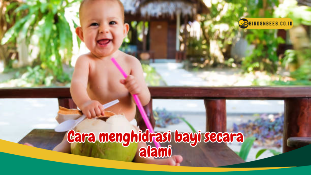 Cara menghidrasi bayi secara alami