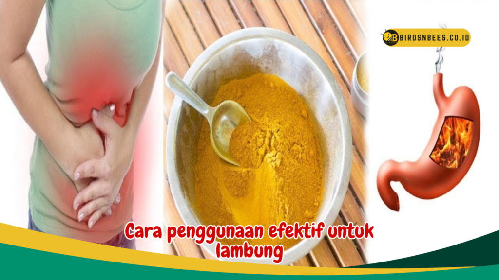 Cara penggunaan efektif untuk lambung