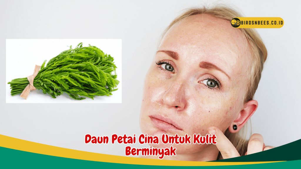 Daun Petai Cina Untuk Kulit Berminyak