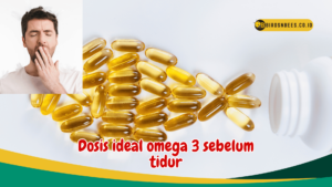 Dosis- deal omega 3 sebelum tidur