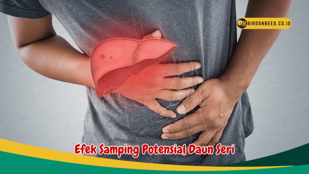 Efek Samping Potensial Daun Seri