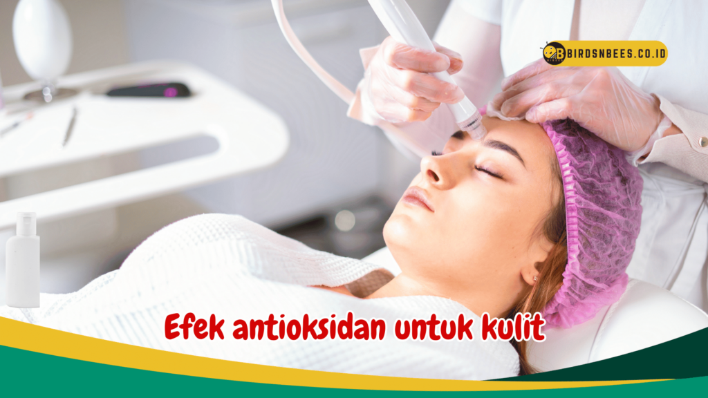 Efek antioksidan untuk kulit