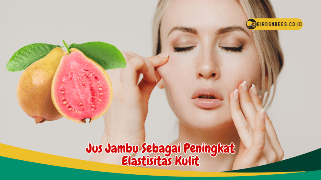 Jus Jambu Sebagai Peningkat Elastisitas Kulit