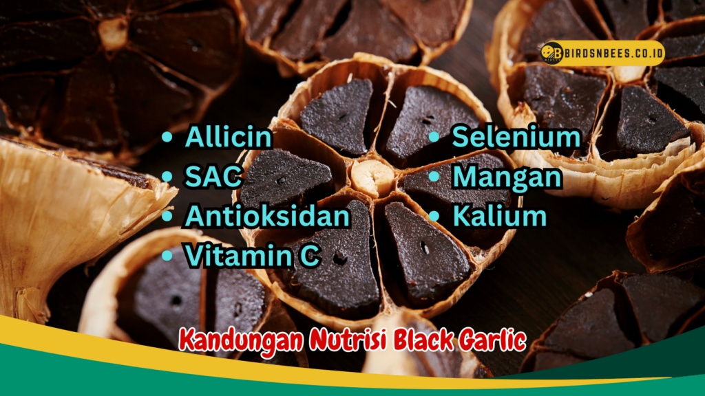 Kandungan Nutrisi Black Garlic