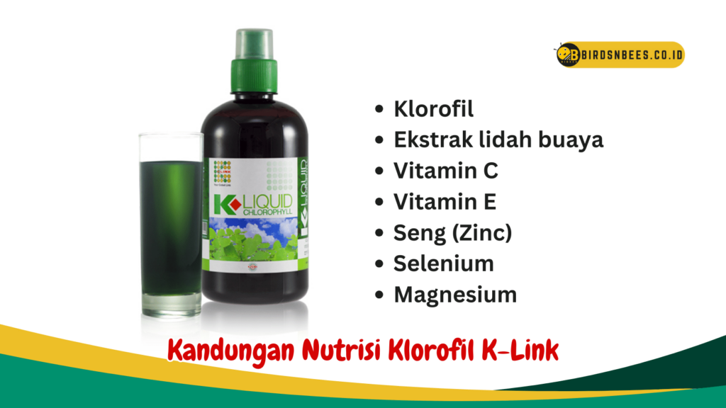 Kandungan Nutrisi Klorofil K-Link