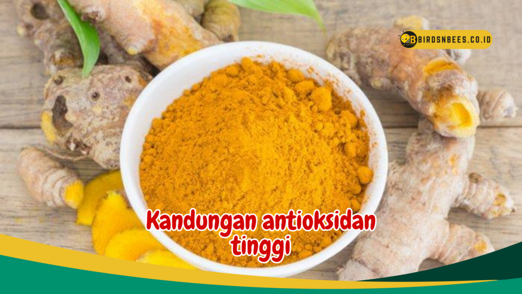 Kandungan antioksidan tinggi