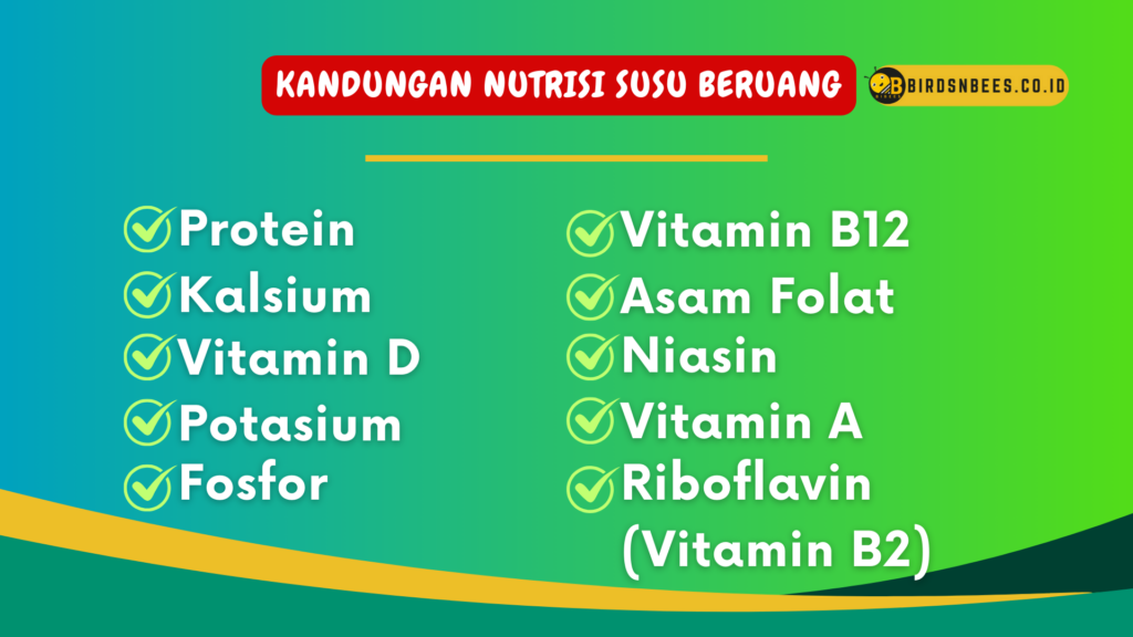 Kandungan nutrisi susu beruang