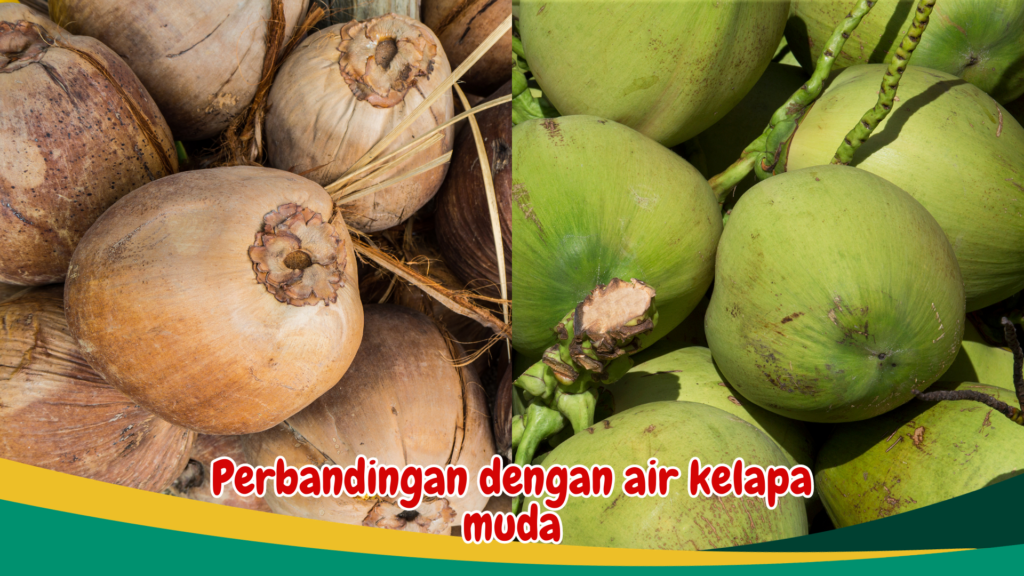 Perbandingan dengan air kelapa muda