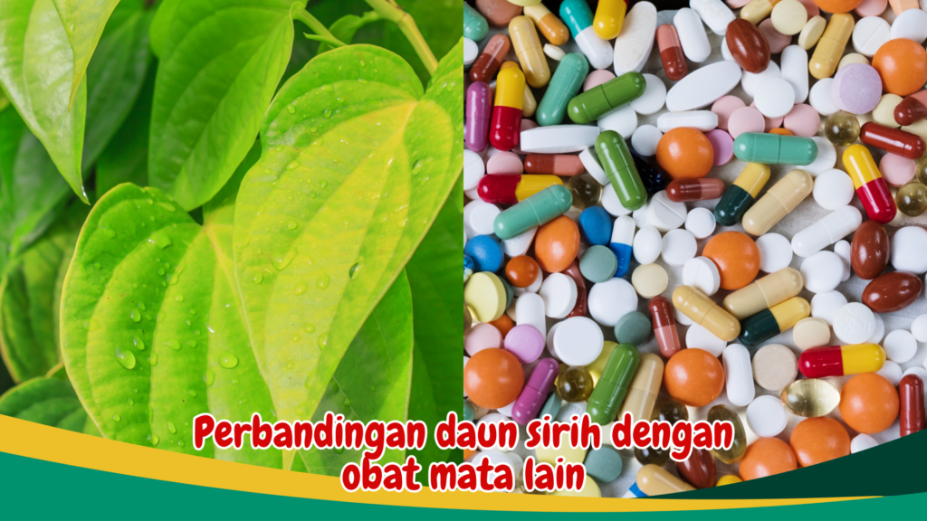 Perbandingan daun sirih dengan obat mata lain