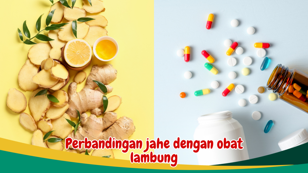 Perbandingan jahe dengan obat lambung