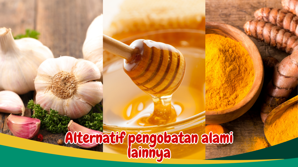 Alternatif pengobatan alami lainnya