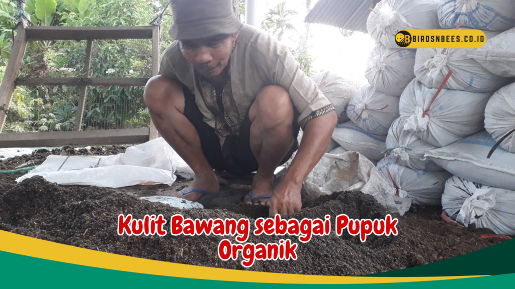 Kulit Bawang sebagai Pupuk Organik