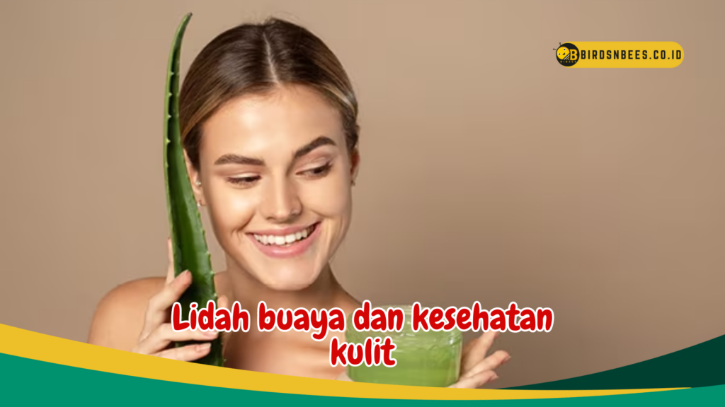 Lidah buaya dan kesehatan kulit