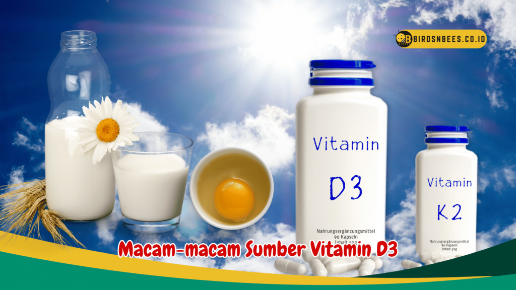 Macam-macam Sumber Vitamin D3