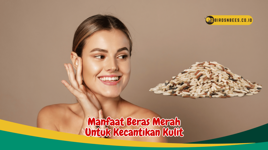 Manfaat Beras Merah Untuk Kecantikan Kulit