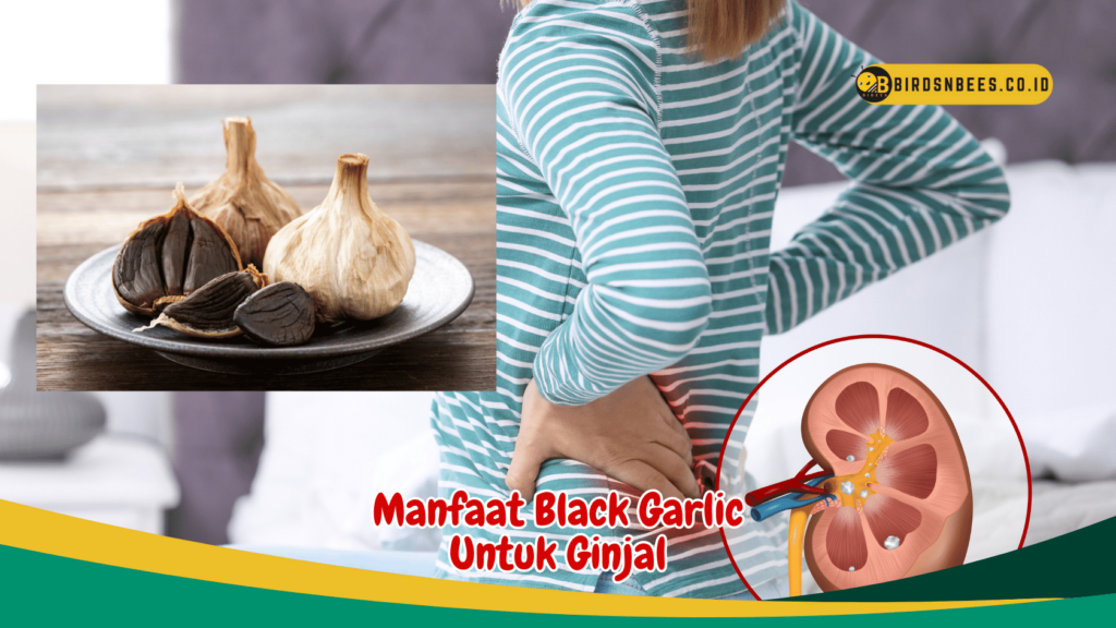 Manfaat Black Garlic Untuk Ginjal