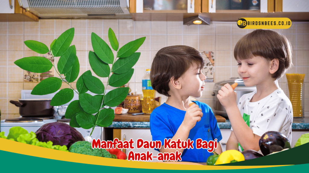 Manfaat Daun Katuk Bagi Anak-anak