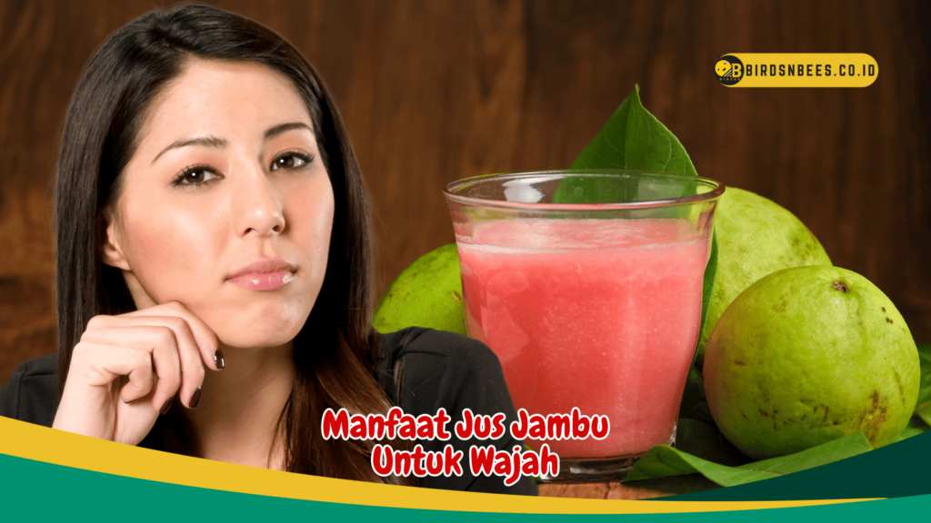 Manfaat Jus Jambu Untuk Wajah