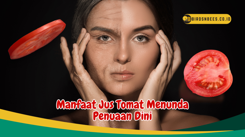 Manfaat Jus Tomat Menunda Penuaan Dini