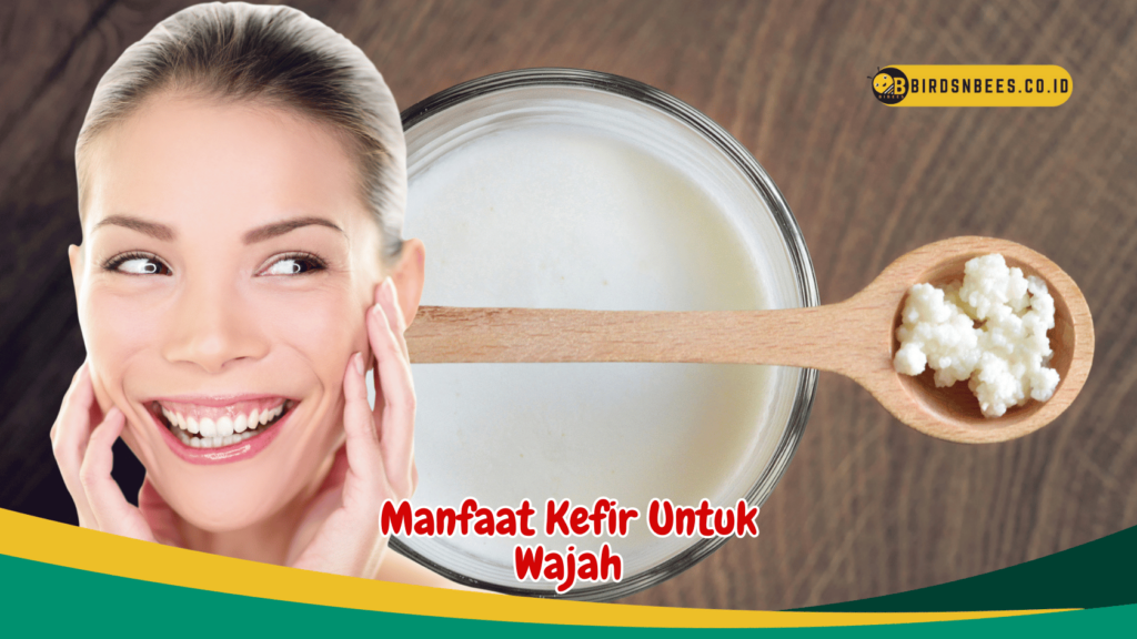 Manfaat Kefir Untuk Wajah