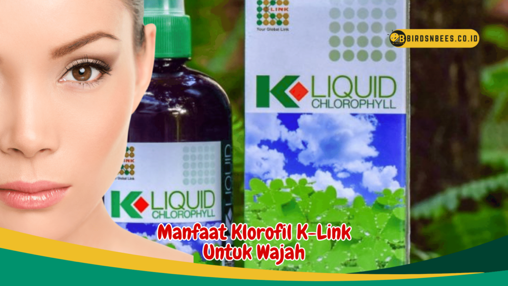 Manfaat Klorofil K-Link Untuk Wajah 