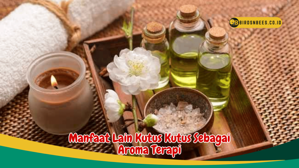 Manfaat Lain Kutus Kutus Sebagai Aroma Terapi