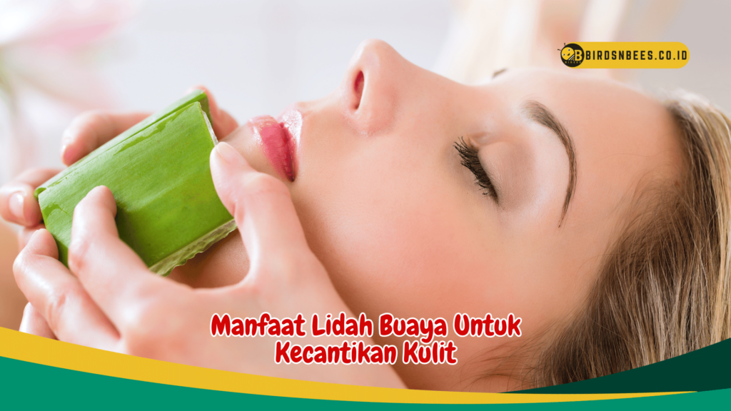 Manfaat Lidah Buaya Untuk Kecantikan Kulit