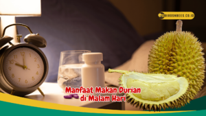 Manfaat Makan Durian di Malam Hari