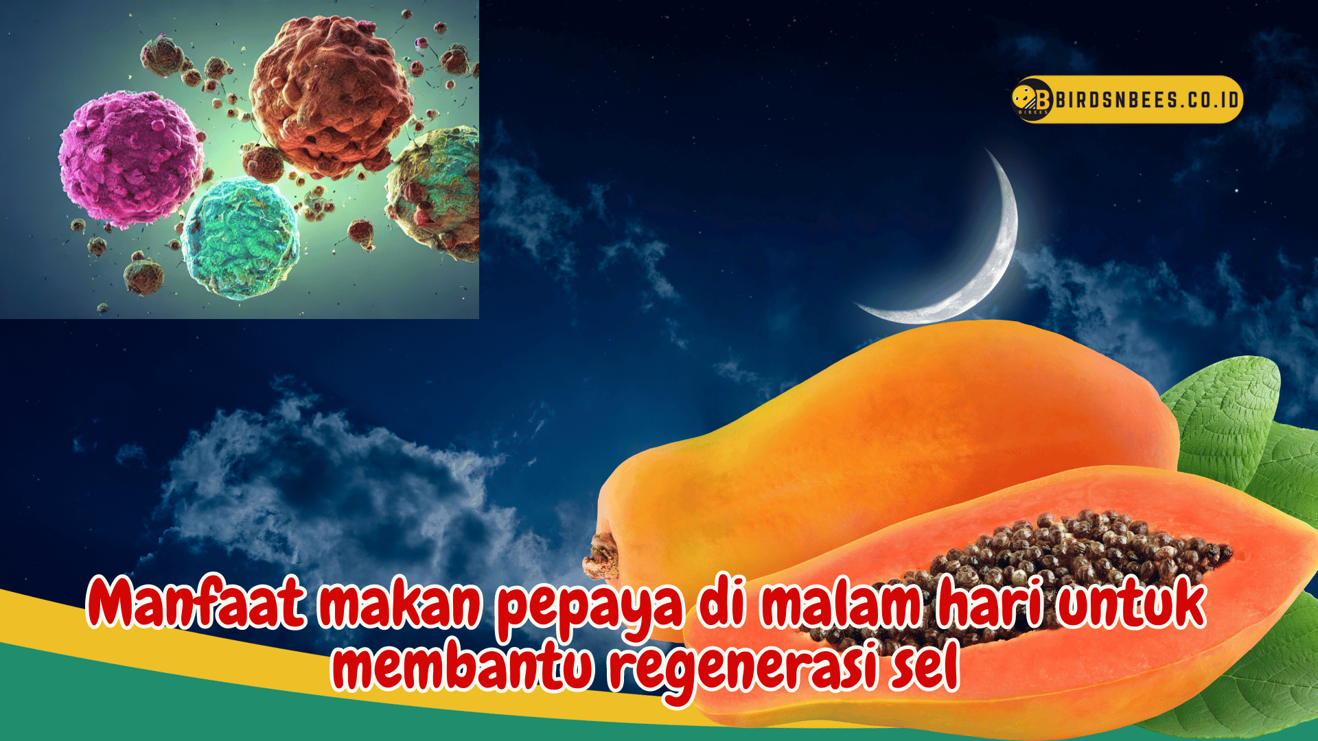 Untuk Regenerasi Sel Yang Sehat, Ketahui Manfaat Makan Pepaya Di Malam ...