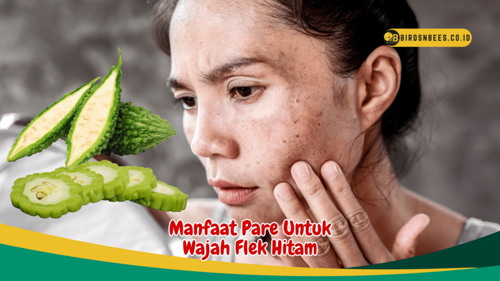 Manfaat Pare Untuk Wajah Flek Hitam